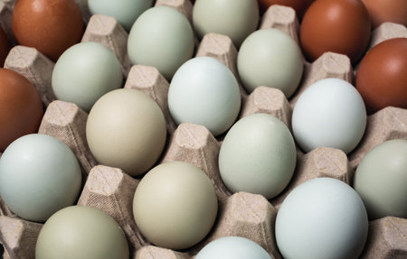 Fresh organic chicken eggs in egg box. selective focus.の写真素材