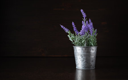 Photo of tin bucket with artificial lavender on dark wooden background.の写真素材