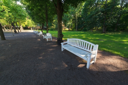 White benches in a summer gardenの写真素材