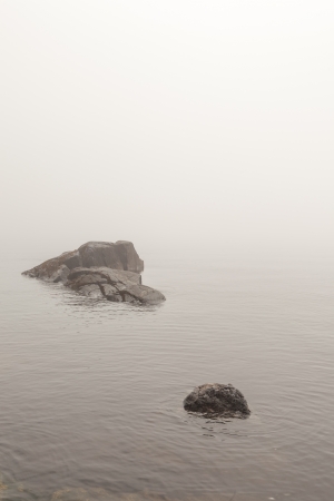 Stone in water. A natural backgroundの写真素材
