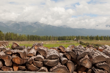 Fire wood combined by a stack against mountains. A landscapeの写真素材