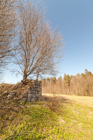 Ruins of the old stone house which have grassed and a moss. Springの写真素材