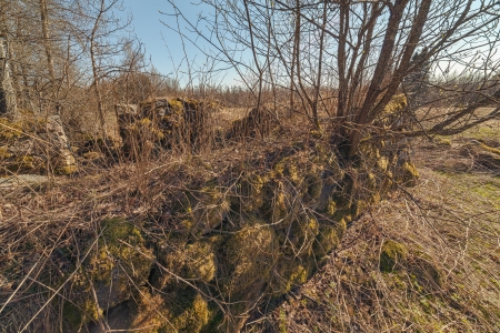 Ruins of the old stone house which have grassed and a moss. Springの写真素材