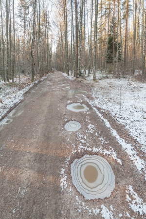 The winter frozen road to wood. A winter landscape.の写真素材