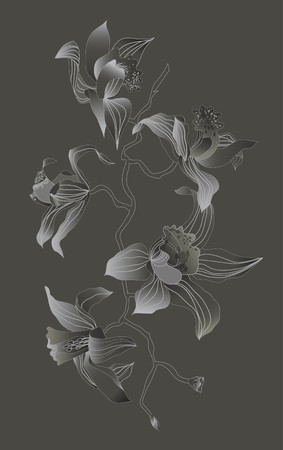 orchid branch drawing on grey backgroundのイラスト素材