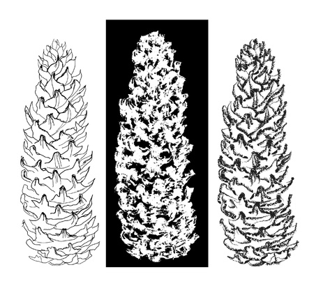 pen and brush drawing tree cones setのイラスト素材