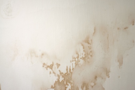 old wall stucco texture for backgroundsの写真素材