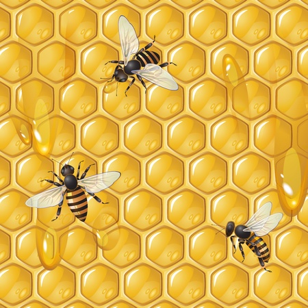 Background with bees and honeycomb のイラスト素材