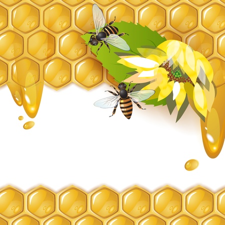 Background with bees, sunflower and honeycomb のイラスト素材