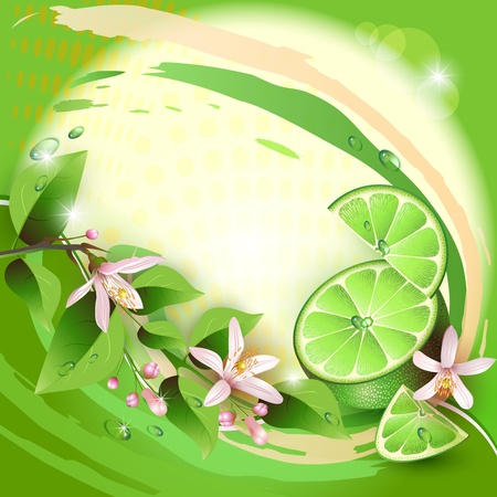 Background with lime slices, leaves and flowersのイラスト素材