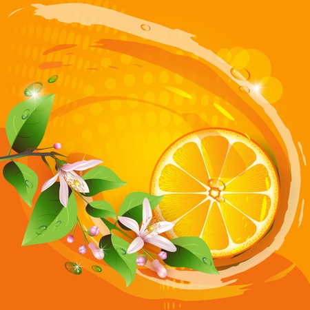  Abstract background with juicy slice of orange fruit and flowersのイラスト素材