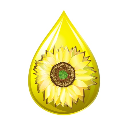 Sunflower seed oil drop isolated on a white のイラスト素材