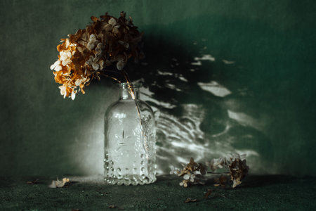 dry hydrangea stands in a vase on a dark backgroundの写真素材