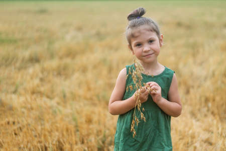 portrait of a girl in a field holding ears of corn in her handsの写真素材