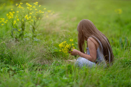 A girl with long hair in a field sniffing yellow flowersの写真素材