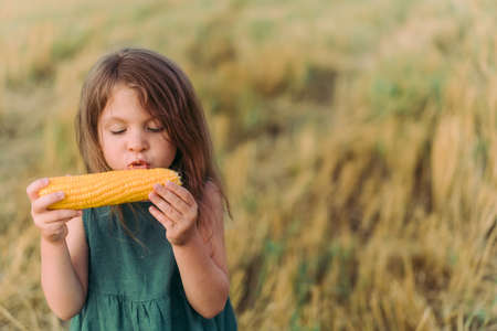 child, girl eating corn in the field