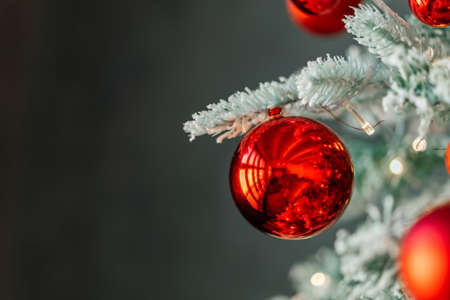 Red Christmas toys on a branch of a Christmas tree, snow on a branchの写真素材