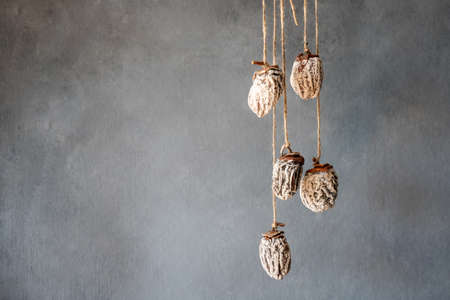 dried persimmon hanging on the ropes. gray background. high quality photoの写真素材