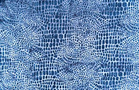 Leopard Seamless Pattern. animal print. high quality photoの写真素材