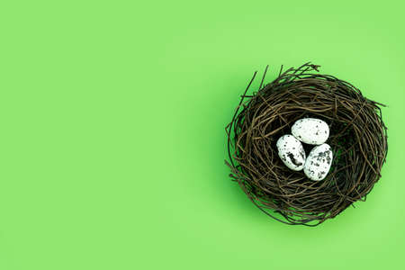 Easter eggs in a nest on an isolated background. high quality photoの写真素材