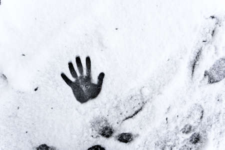 snowhand. One hand prints on fresh snow. winter day. high quality photoの写真素材