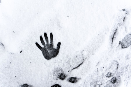 snowhand. One hand prints on fresh snow. winter day. high quality photoの写真素材