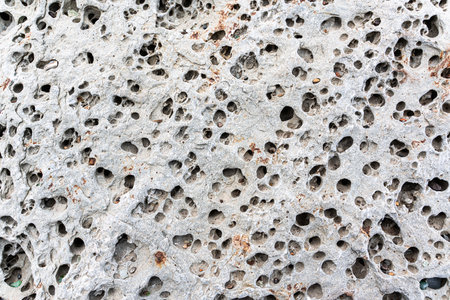 texture of porous stones on the beach, nature, natural phenomena, brown gray stones. high quality photoの写真素材