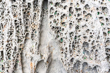 texture of porous stones on the beach, nature, natural phenomena, brown gray stones. high quality photoの写真素材