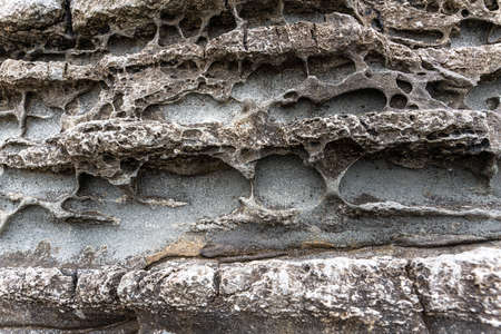 texture of porous stones on the beach, nature, natural phenomena, brown gray stones. high quality photoの写真素材