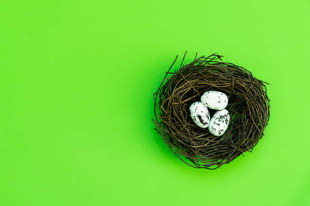 Easter eggs in a nest on an isolated background. high quality photoの写真素材