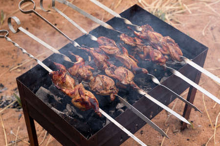 Preparation of marinated quail on the grill grate. high quality photoの写真素材