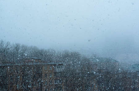 Close-up of a snowy frosty winter morning. snowing. high quality photoの写真素材