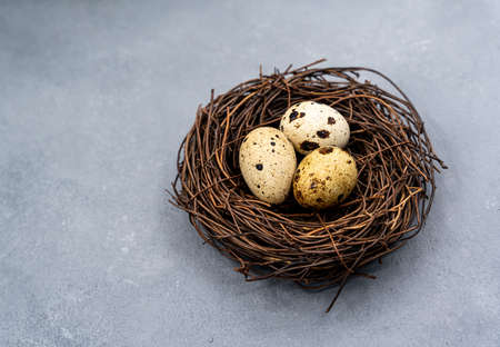 Quail eggs on a gray background. Proper nutrition. diet food. high quality photoの写真素材