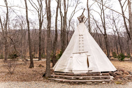 Glamping site in the woods on a calm afternoon. high quality photoの写真素材