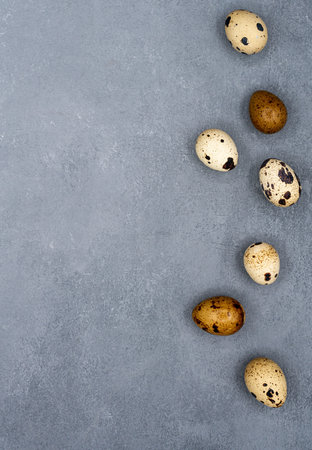 Quails Eggs in a raw on the gray stone background. Place for the text. Easter composition.Flat lay, top view. high quality photoの写真素材