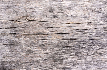 Texture seamless wooden board, background and wallpaper. high quality photoの写真素材