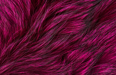 Natural fur texture, trendy color, flat lay closeup. high quality photoの写真素材
