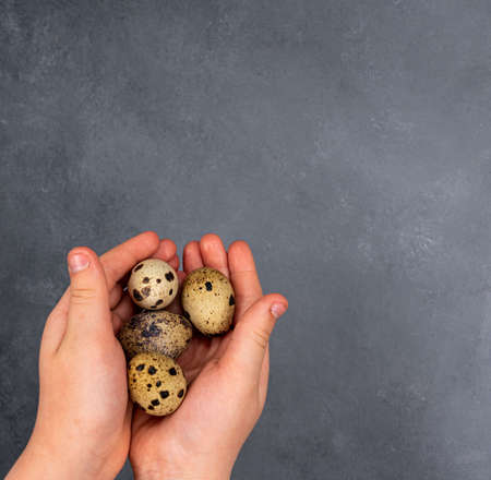 Children's hand collects quail eggs. high quality photoの写真素材