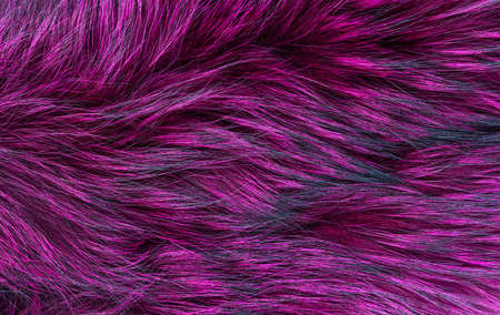 Natural fur texture, trendy color, flat lay closeup. high quality photoの写真素材