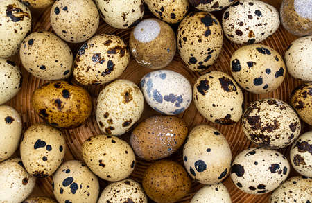 Easter composition. Easter background. Easter quail eggs. Quail eggs on gray background. high quality photoの写真素材