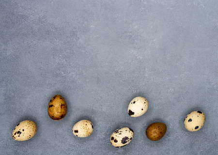 Quails Eggs in a raw on the gray stone background. Place for the text. Easter composition.Flat lay, top view. high quality photoの写真素材