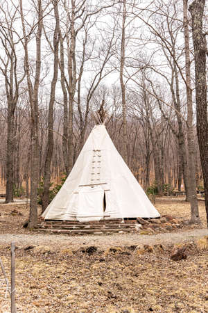 Glamping site in the woods on a calm afternoon. high quality photo