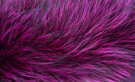 Natural fur texture, trendy color, flat lay closeup. high quality photoの写真素材
