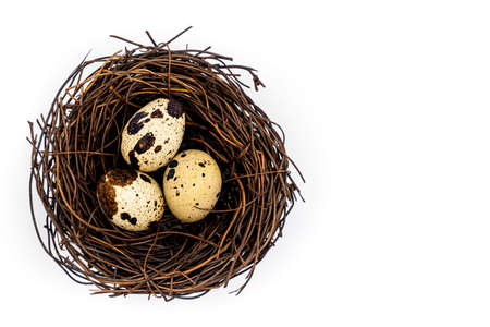 Uncooked scattered Quail eggs on white background top view, healthy food concept. high quality photoの写真素材