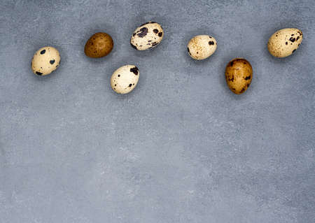 Quails Eggs in a raw on the gray stone background. Place for the text. Easter composition.Flat lay, top view. high quality photoの写真素材