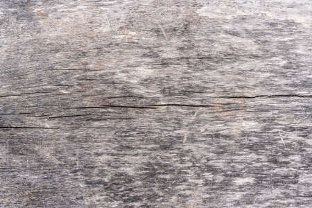 Texture seamless wooden board, background and wallpaper. high quality photoの写真素材