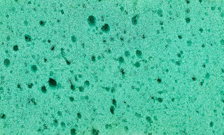 Green sponge detailed texture, sponge texture background. high quality photoの写真素材