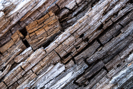 Old wooden background or texture. high quality photoの写真素材