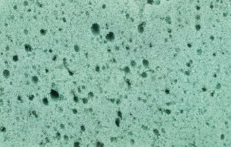 Green sponge detailed texture, sponge texture background. high quality photoの写真素材