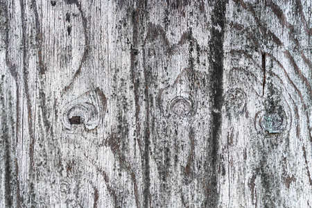Old wooden background or texture. high quality photoの写真素材